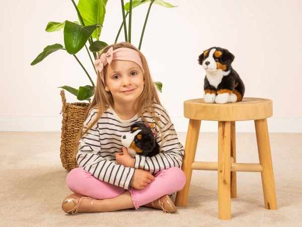 Hermann Teddy Berner Sennenhund Sitzend 21 Cm – Bild 5