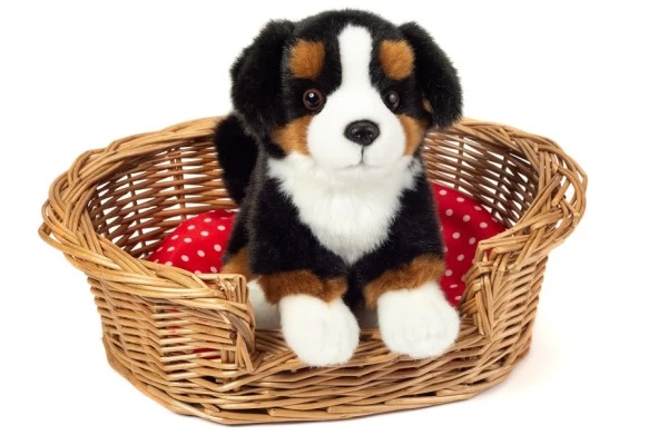 Hermann Teddy Berner Sennenhund Sitzend 21 Cm – Bild 4